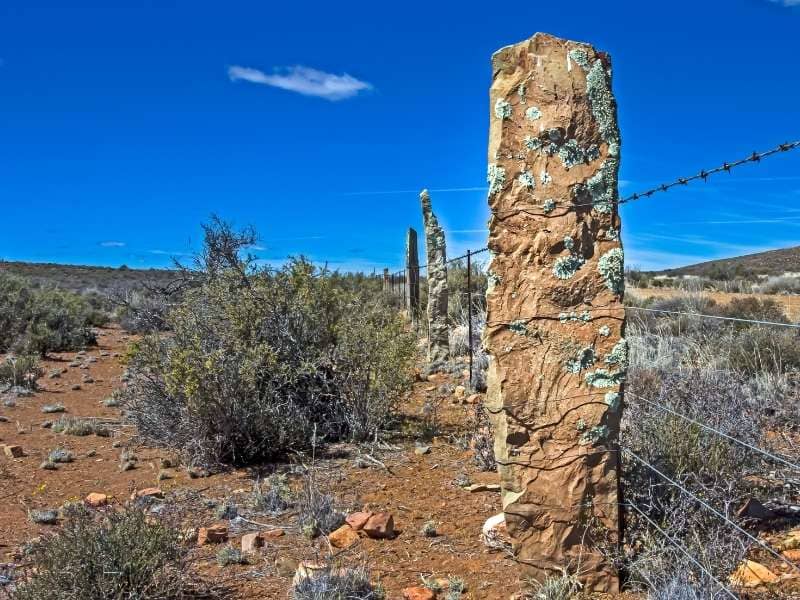 historic acreage boundary evidence | Talladega Land Surveying Weathered stone fence posts marking an old rural property boundary across a large acreage landscape.